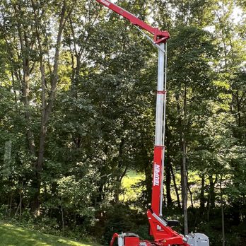 West Michigan Tree Services - Tree Services Near Me - Grand Rapids, Michigan West Michigan Tree Services - Tree Services Near Me - Grand Rapids, Michigan