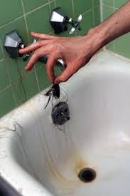 Slide of Aardvark Plumbing Heating HVAC