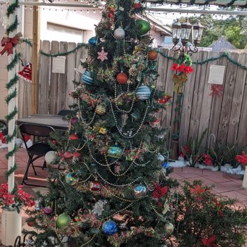 Cafe Monte Carlo - Christmas decor! - Cafes Near Me - Cape Canaveral, Florida Cafe Monte Carlo - Christmas decor! - Cafes Near Me - Cape Canaveral, Florida