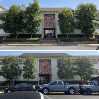Reynoso Tree Service - Before & after in 2020 - so much better! - Tree Services Near Me - Hawthorne, California Reynoso Tree Service - Before & after in 2020 - so much better! - Tree Services Near Me - Hawthorne, California