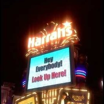Flamingo Las Vegas - Hotels Near Me - Las Vegas, Nevada