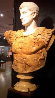 Nicholson Museum by null