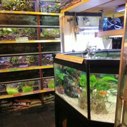 'T Aquariumhuis - Buddha. A fish's best friend.