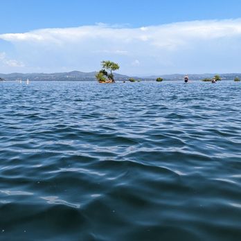 Folsom Lake State Recreation Area - Lakes Near Me - Folsom, California