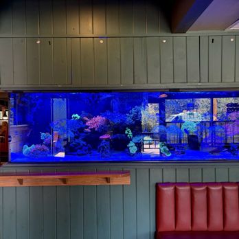 Cherry Cricket - Littleton - Sea water fish tank! - New American Near Me - Littleton, Colorado