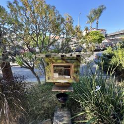 Little Free Library - Little free library