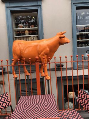 Hook & Ladder Sarsfield Street by null