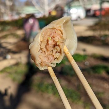 Dumpling House - Pork and veg - Chinese Near Me - Davis, California
