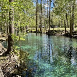 Ginnie Spring - Beautiful!