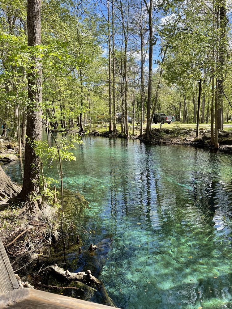 Ginnie Spring Image