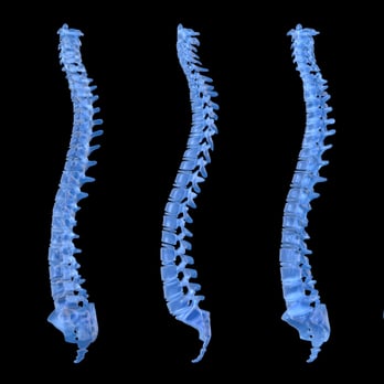 Castelli Chiropractic Center - Chiropractors Near Me - Jacksonville, Florida Castelli Chiropractic Center - Chiropractors Near Me - Jacksonville, Florida