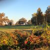 Castle Oaks Golf Club gift card