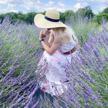 Twin Creeks Lavender - Pick Your Own Farms Near Me - Williamston, South Carolina Twin Creeks Lavender - Pick Your Own Farms Near Me - Williamston, South Carolina