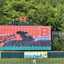 Chesapeake Baysox - They have super fun videos during breaks in play!