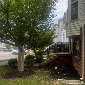 GW Tree Services - Tree and bush trimming - Tree Services Near Me