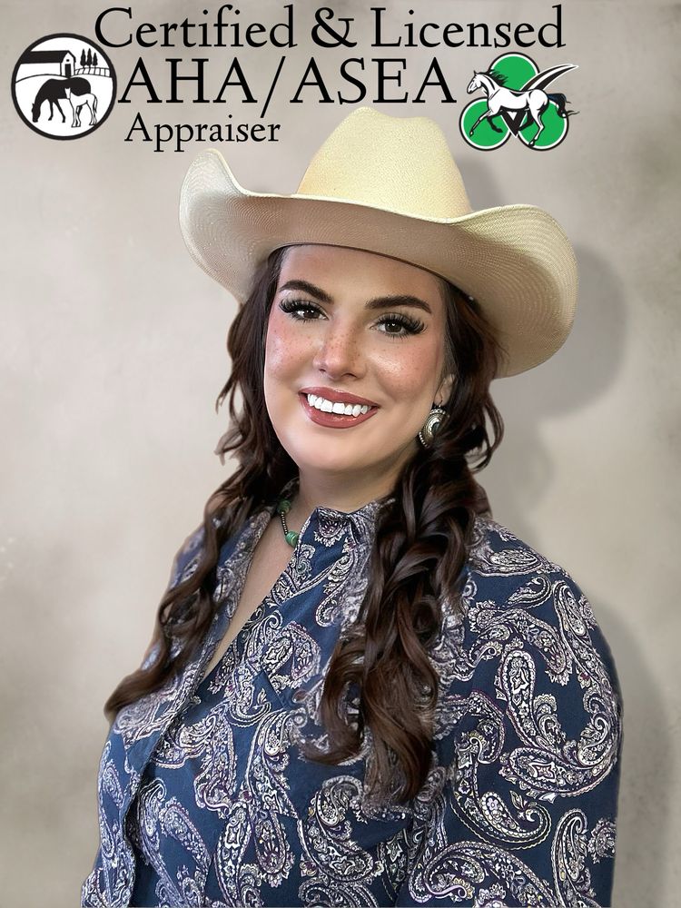 Bowman Performance Horses & Appraisals - equestrian in Cañon City, CO