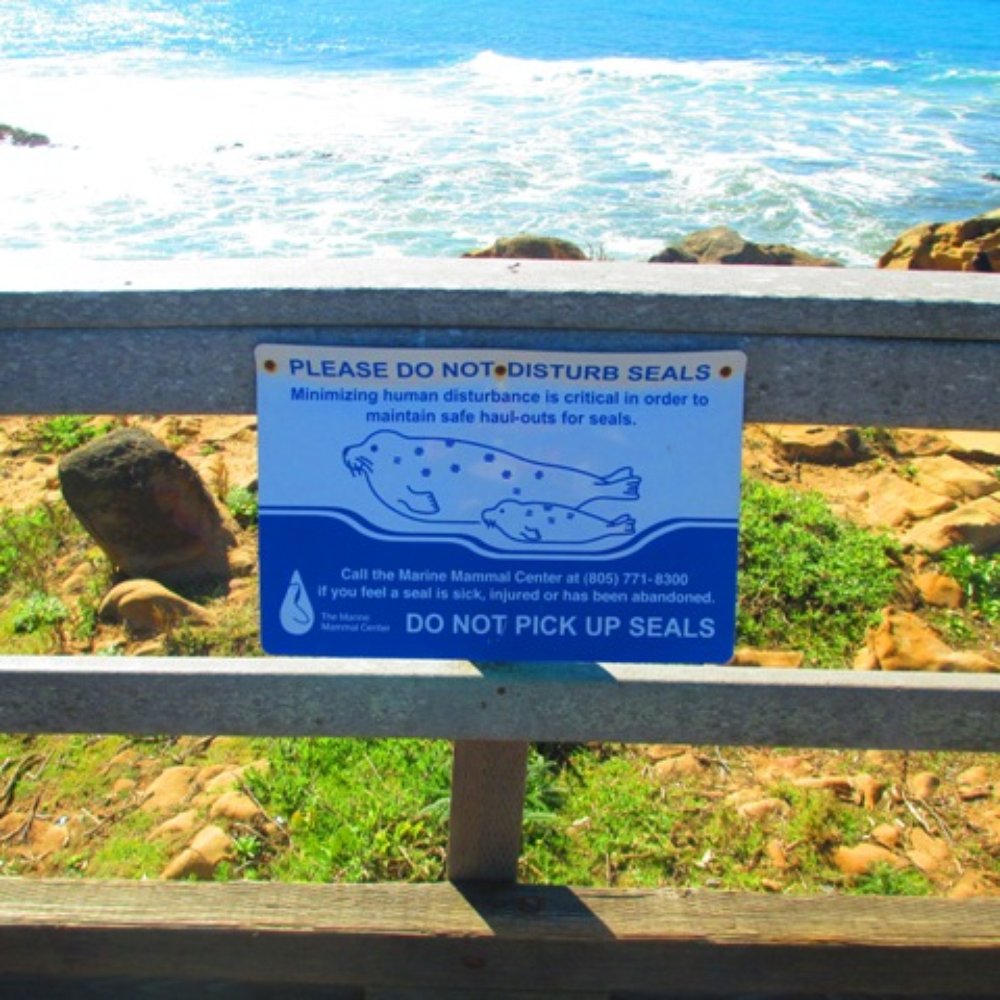 White Water - Hotels Near Me - Cambria, California White Water - Hotels Near Me - Cambria, California