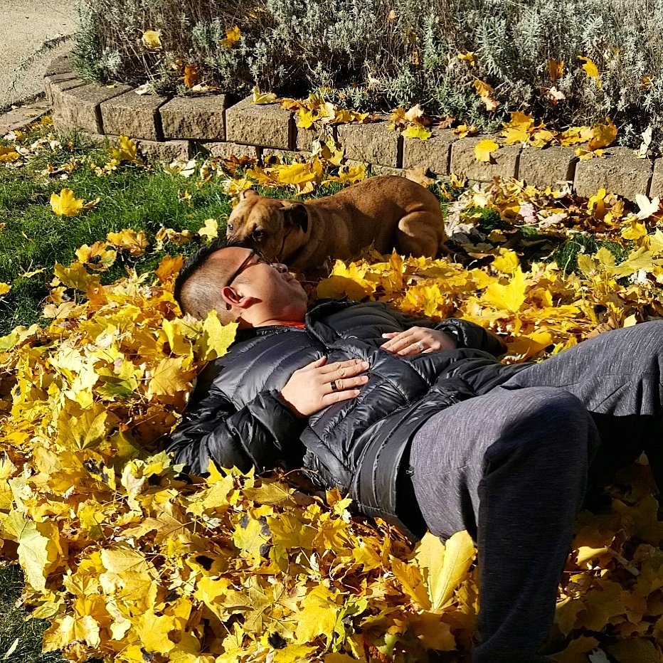 AAA PET SERVICES Updated September 2024 17 Reviews 25280