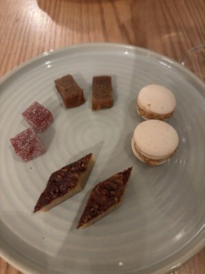 Maude & the Bear by null