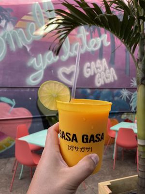 Gasa Gasa by null