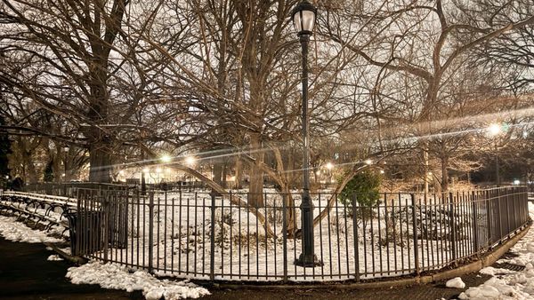 Tompkins Square Park by null