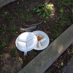 Laurelton Playground - Mice enjoy what people leave behind in Laurelton Park, Rosedale Queens, NY.