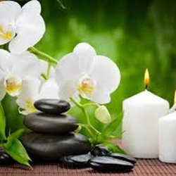 Belle View Massage Therapy and Wellness Center - Relax and Rejuvenate