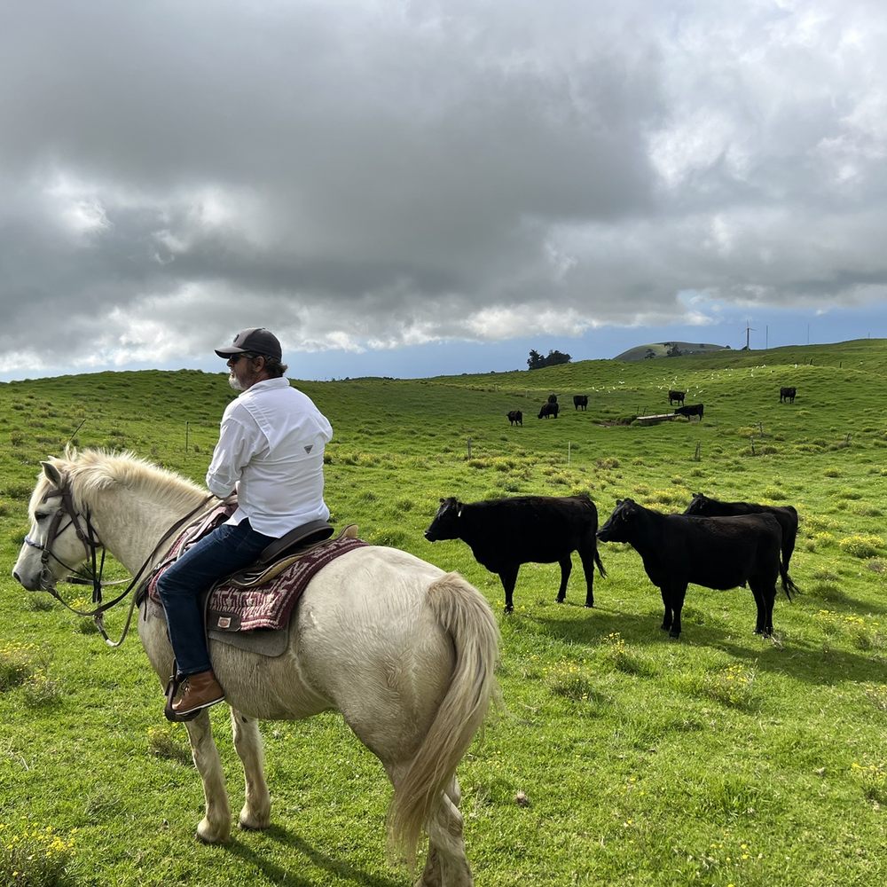 Na'alapa Stables - Horseback Riding Near Me - Kamuela, Hawaii Na'alapa Stables - Horseback Riding Near Me - Kamuela, Hawaii