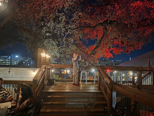 Pelons Tex Mex by null Pelons Tex Mex by null