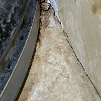 American Pest Control - Reproductive Subterranean Termite and Tubes along Water Heater... - Pest Control Near Me - Lewiston, Idaho