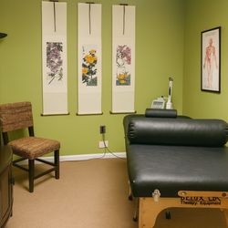 Dr. Mary Papa - DAc, LAc, MSAc, NCCAOM - Treatment Room #1
