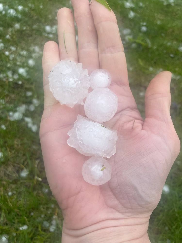 Slide of Gator Top Roofing