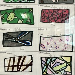 Hans Christensen Middle School - Hans Christensen Middle School 6th grade students learning about cells.