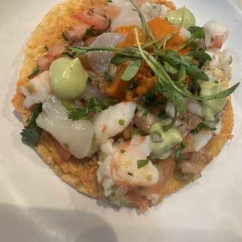 Holbox - Best tostada - Latin American Near Me - Los Angeles, California Holbox - Best tostada - Latin American Near Me - Los Angeles, California