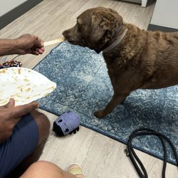 Herndon Animal Medical Center