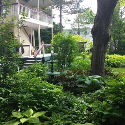Lewis House Bed & Breakfast - Rear gardens