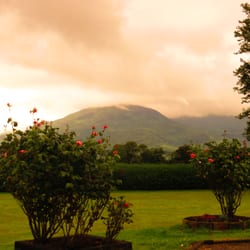 Carriglea House - Stunning view from the front yard.