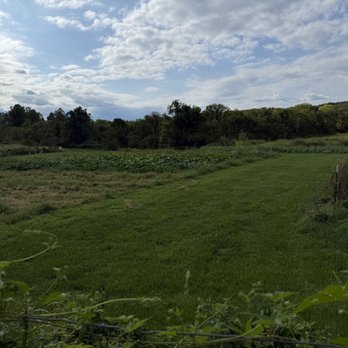 Satchidananda Ashram - Yogaville - The Farm - Yoga Near Me - Buckingham, Virginia