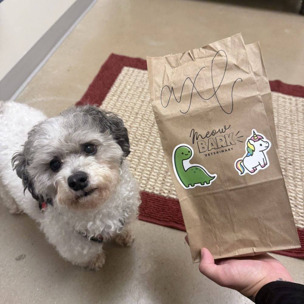 Meow Bark Veterinary - Thank you Dr. Lozoya! - Veterinarians Near Me - Austin, Texas Meow Bark Veterinary - Thank you Dr. Lozoya! - Veterinarians Near Me - Austin, Texas