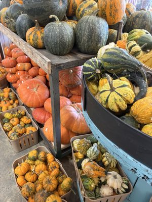 Durbin Farms Market by null