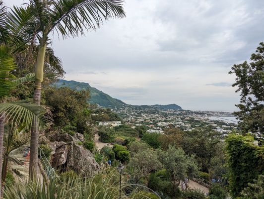 Giardini la Mortella by null