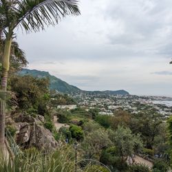Giardini La Mortella