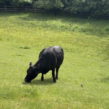 Kelsey Creek Farm Park - Venues & Event Spaces Near Me - Bellevue, Washington