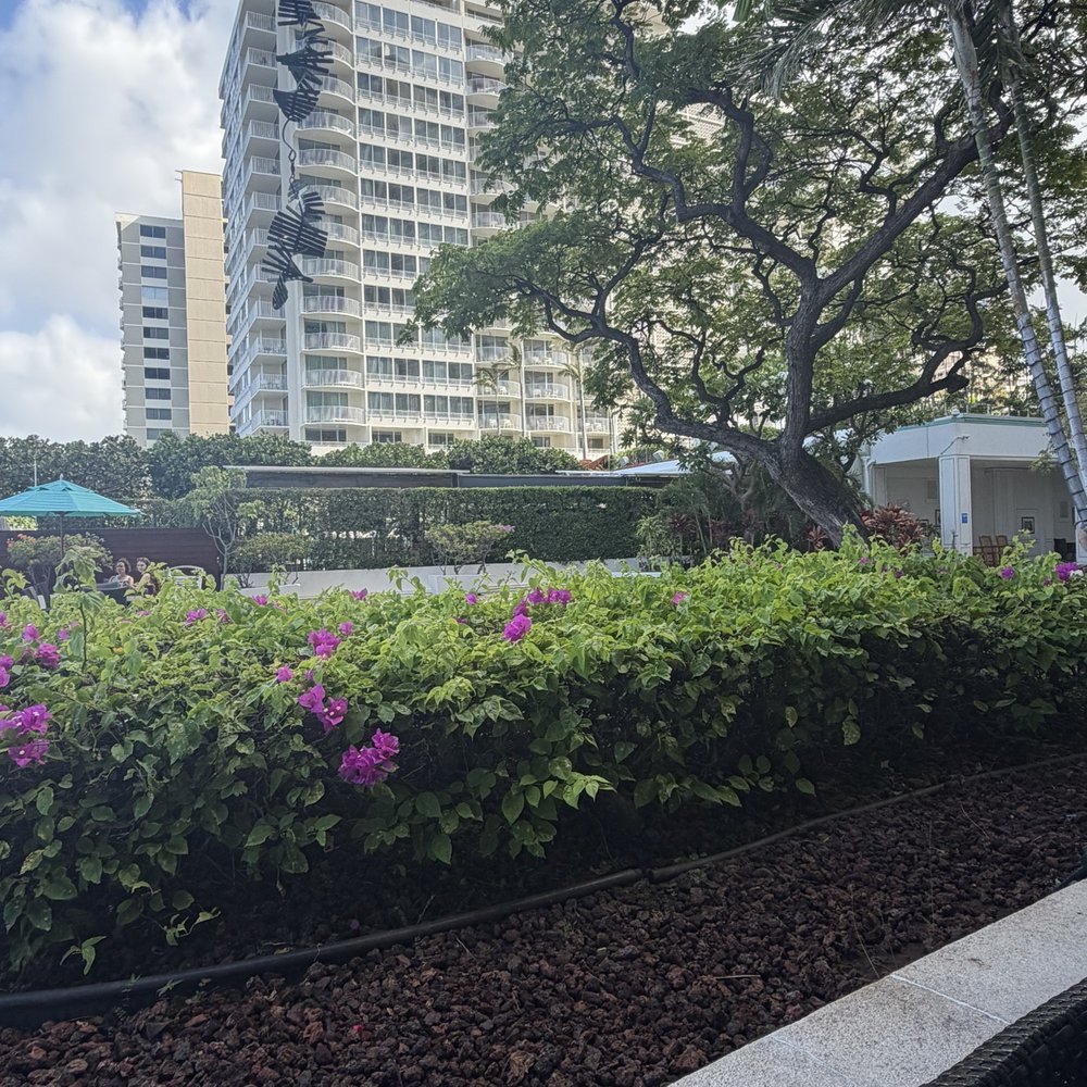Menehune Grille - View - Venues & Event Spaces Near Me - Honolulu, Hawaii Menehune Grille - View - Venues & Event Spaces Near Me - Honolulu, Hawaii