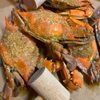 Crab Corner gift card
