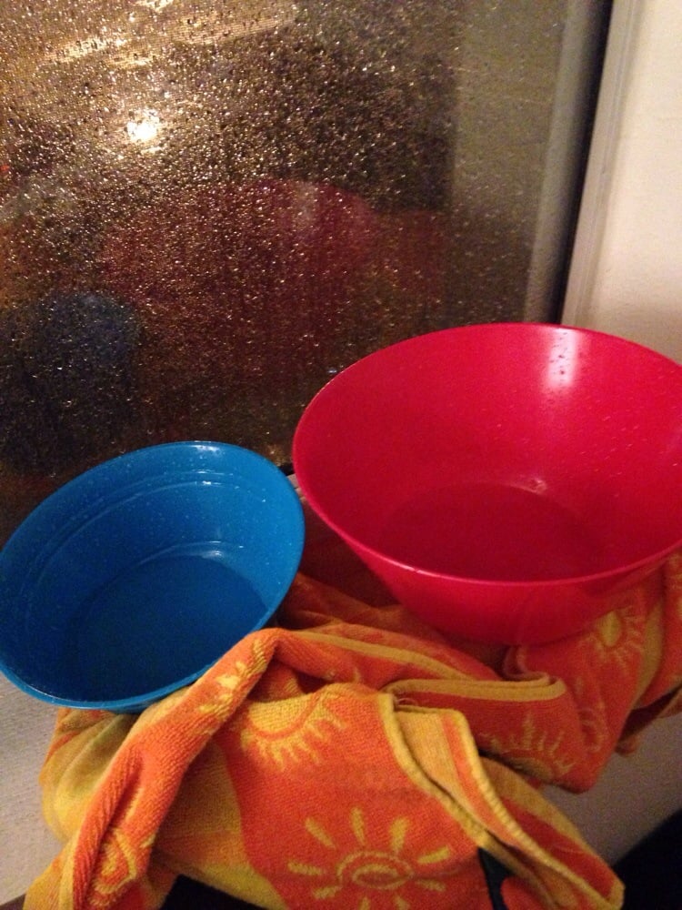 ROANOKE WEST APARTMENTS Updated September 2024 4440 Roanoke Pkwy