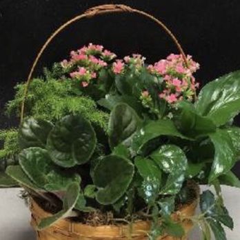 Expressions In Bloom Fine Flowers - What was actually delivered - Florists Near Me - Corvallis, Oregon