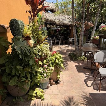 Malakor Thai Cafe - Thai Near Me - West Palm Beach, Florida