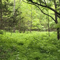 Rappahannock River Valley National Wildilfe Refuge