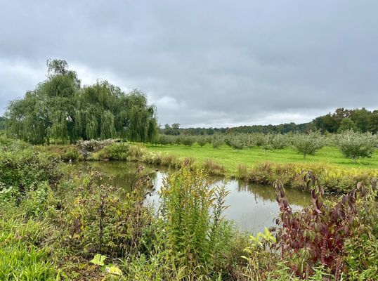 Twin Star Orchards by null